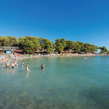 Drfranje Tudmana I Turanj